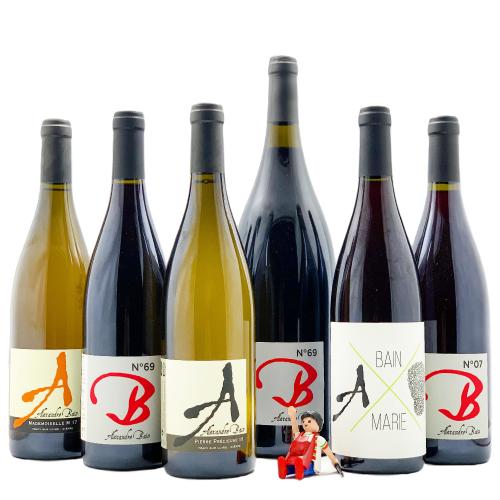 Alexandre Bain | MORE Natural Wine