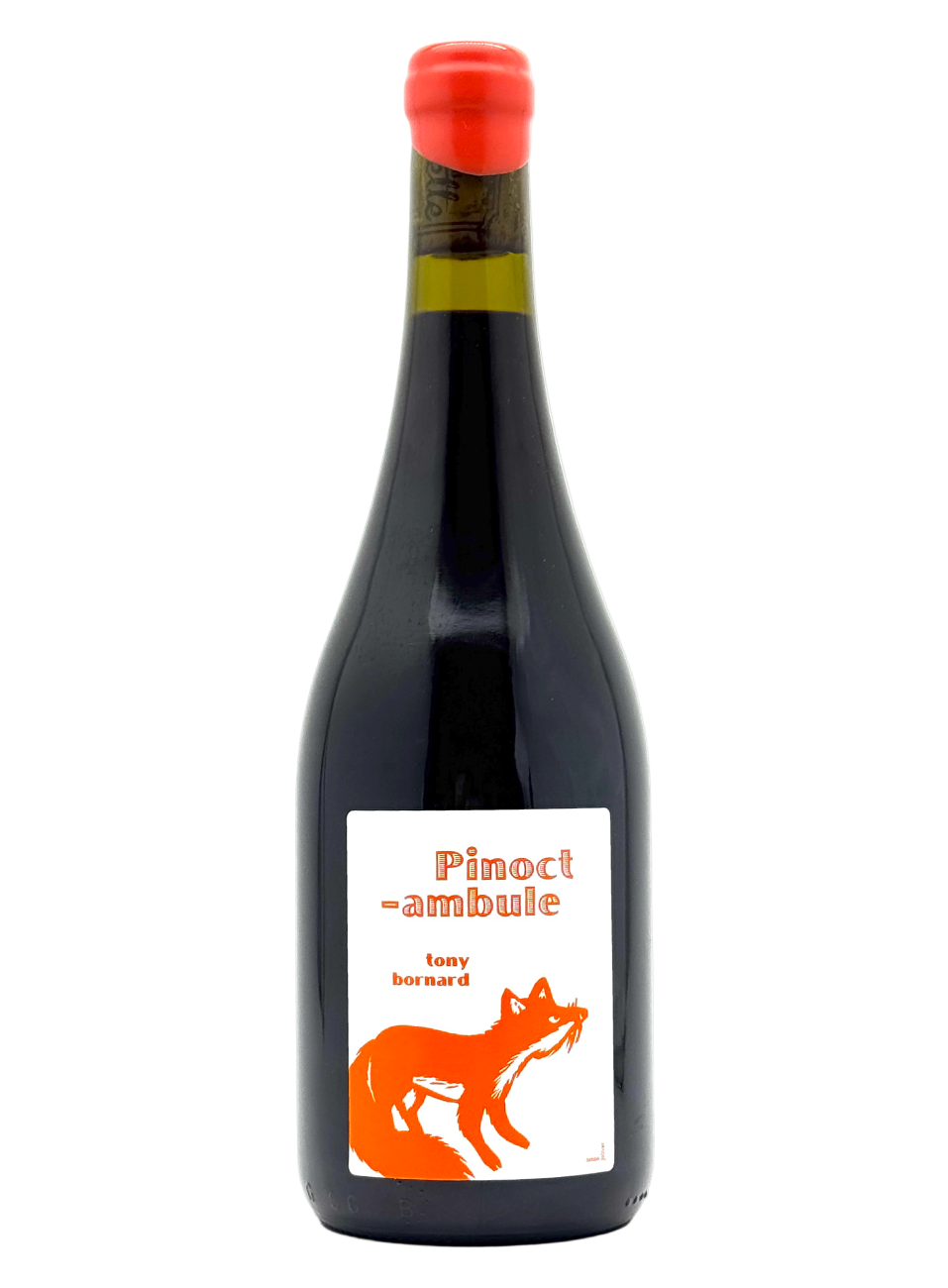 Tony Bornard Vin Jaune 2012 ボールナール Tony Bornard | Le Pinoctambule 2022 | MORE Natural Wine