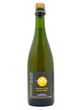 Valentin Morel Les Pieds Sur terre - Cremant du Jura blanc de Noir