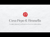Emidio Pepe - 'Branella' 2020