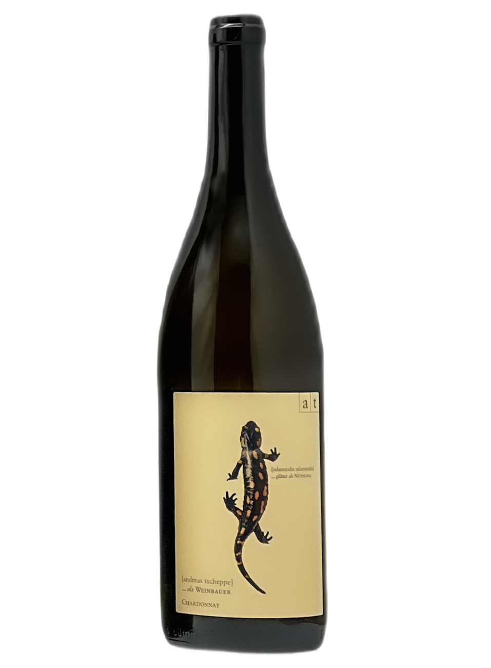 Andreas Tscheppe | Salamander 2021 | MORE Natural Wine Andreas Tscheppe | Salamander 2021 | MORE Natural Wine