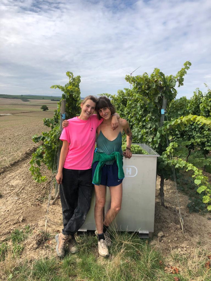 POWERGLOW | More Natural Wine