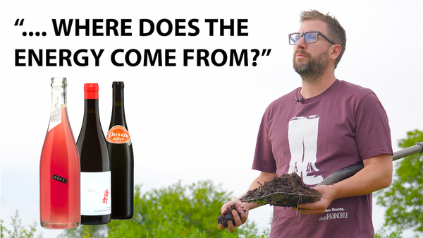 Claus Preisinger Video Documentary