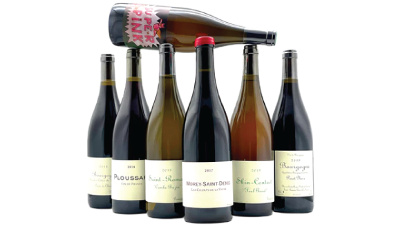 FRÉDÉRIC COSSARD - VIDEO FOCUS