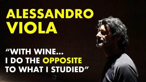 Alessandro Viola Wine Documentary Video