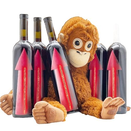 Gabrio Bini Natural Wine