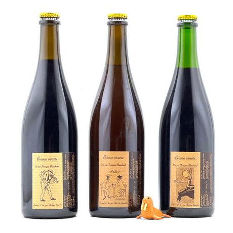 Francois Blanchard Natural Wine