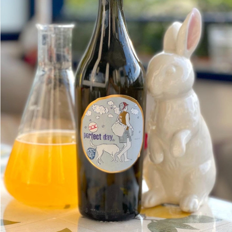 Pittnauer Natural Wine