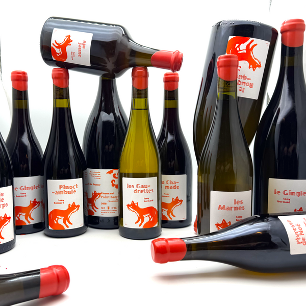 Domaine Bornard | Tony Bornard wines from Pupillin, Jura – MORE Domaine Bornard | Tony Bornard wines from Pupillin, Jura – MORE