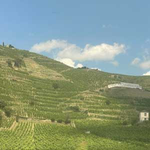 I'm Totally Rhône'd Dude!