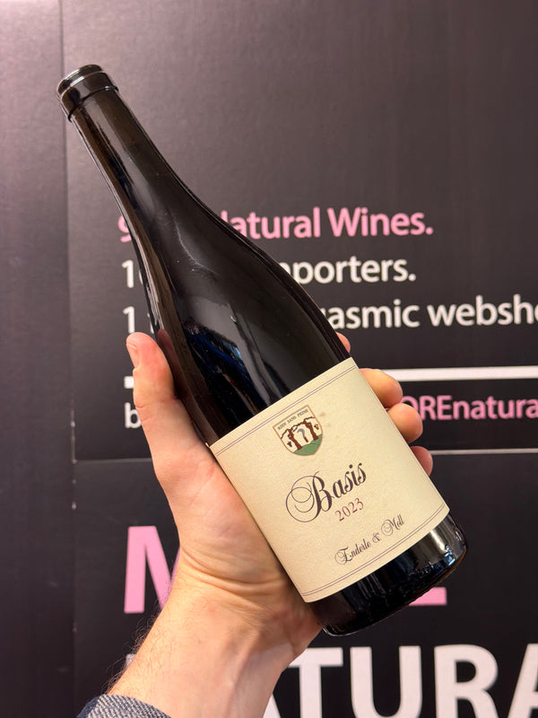 Enderle & Moll | Pinot Noir | MORE Natural Wine