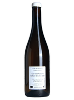 Anders Frederik Steen - Go Visit Nature Before Its Too Late
