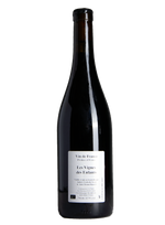 Les Vignes des Enfants | Natural Wine by Anders Frederik Steen.