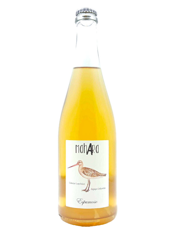 Aguja Ancestral 2020 | Natural Wine by Bodega Vinificate.