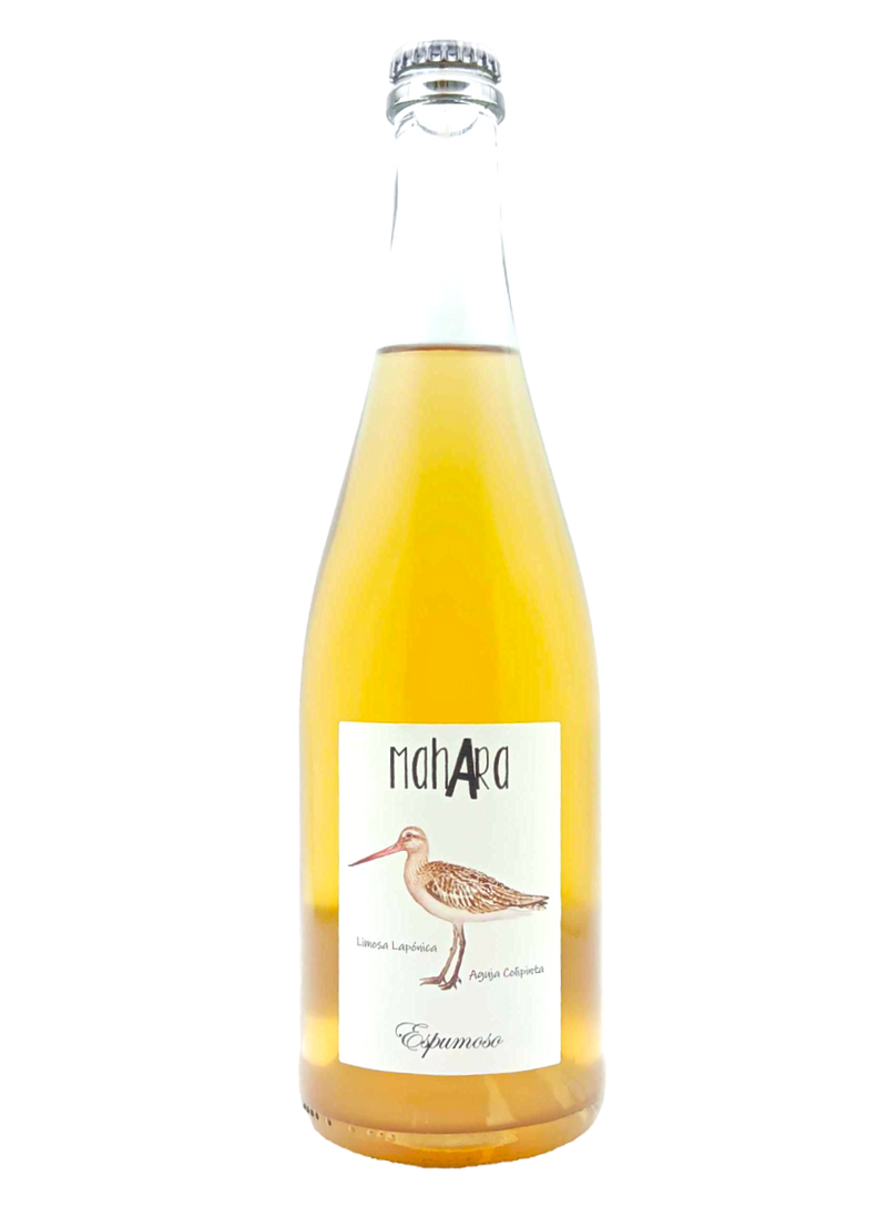 Aguja Ancestral 2020 | Natural Wine by Bodega Vinificate.
