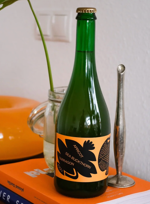 Bouche Kombucha Proxy Wine D APricot
