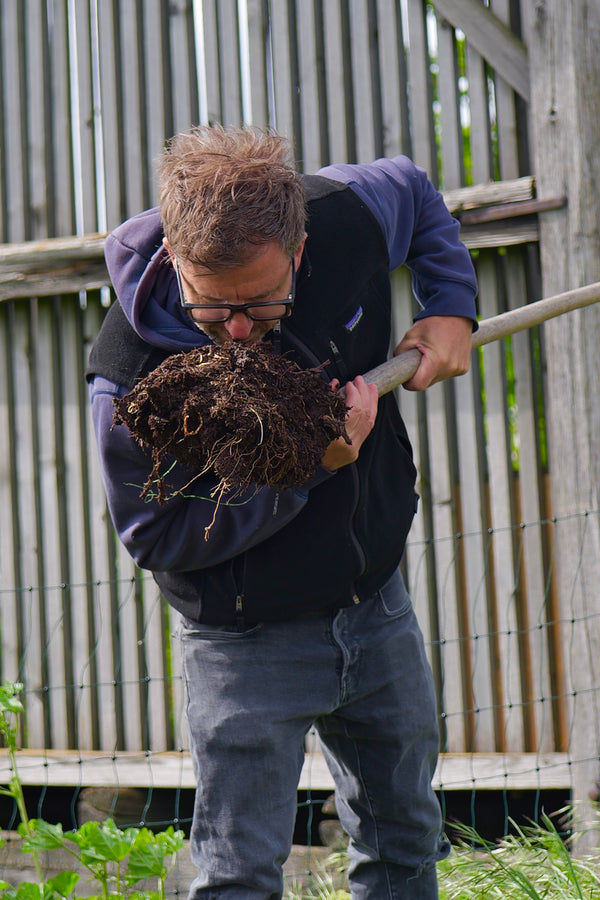 Claus preisinger manure biodynamic Wine