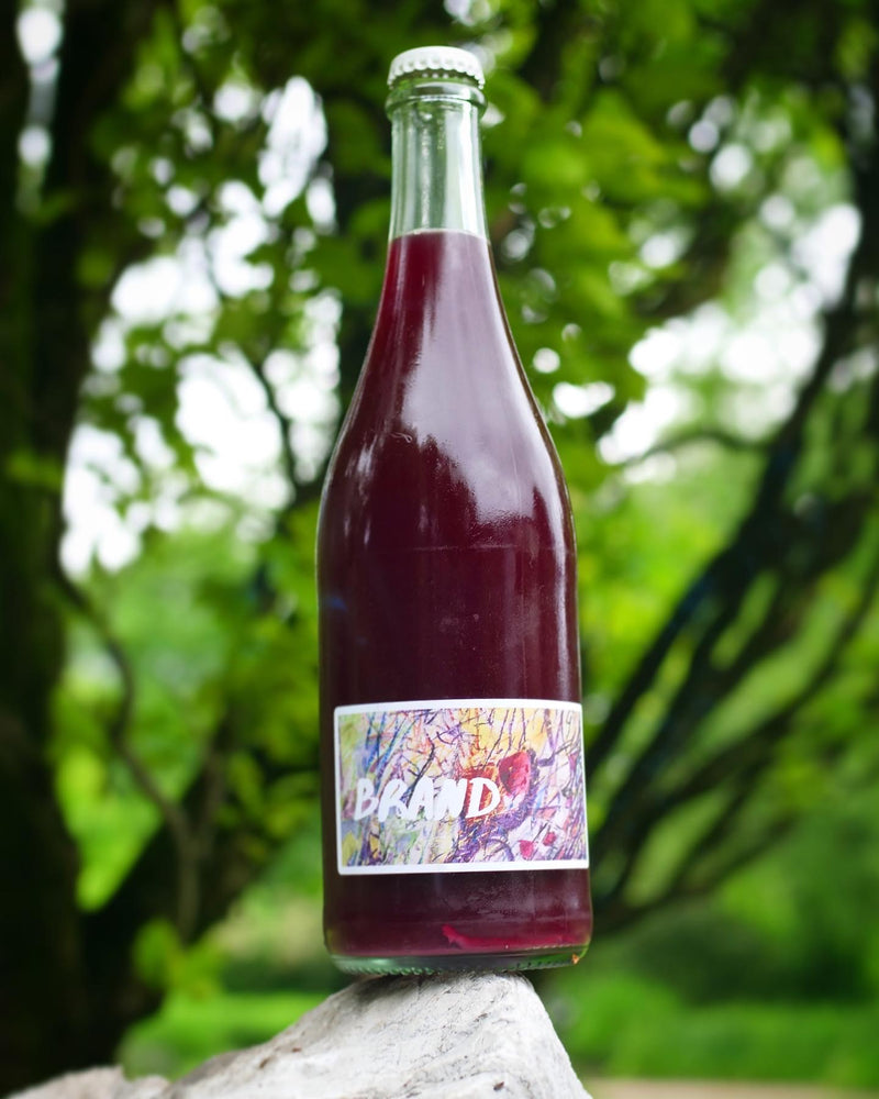 Brand Nouveau is a carbonic gem of a fruit-forward, light smashable natural red wine