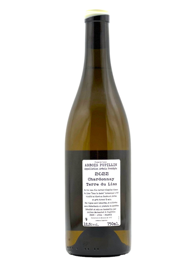 Terre du Lias Chardonnay 2022 | Natural Wine by Domaine de la Borde.