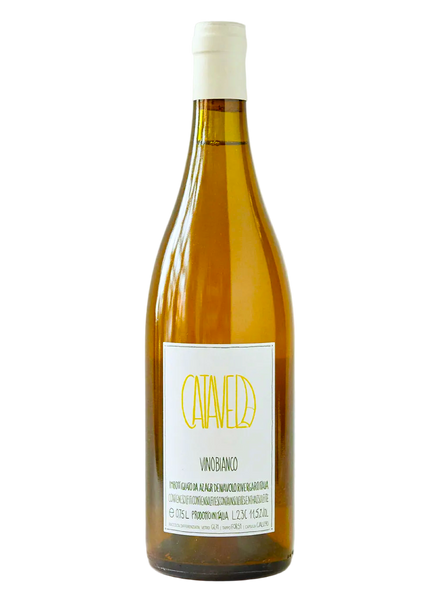 Denavolo | Catavela 2024| MORE Natural Wine