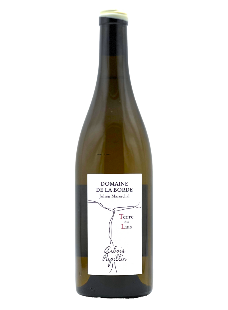 Terre du Lias Chardonnay 2022 | Natural Wine by Domaine de la Borde.