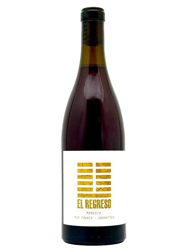 El Regreso - Moravia 2024