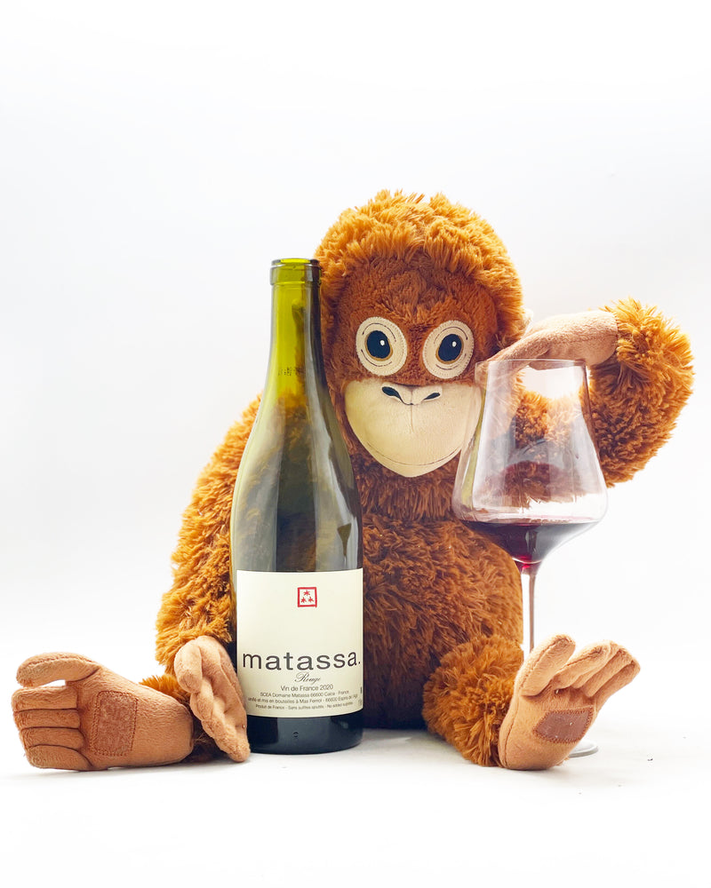 Rouge 2022 by Matassa is a popular natural wine made in the hot south of France, in Roussillon, with 100% Carignan grapes 