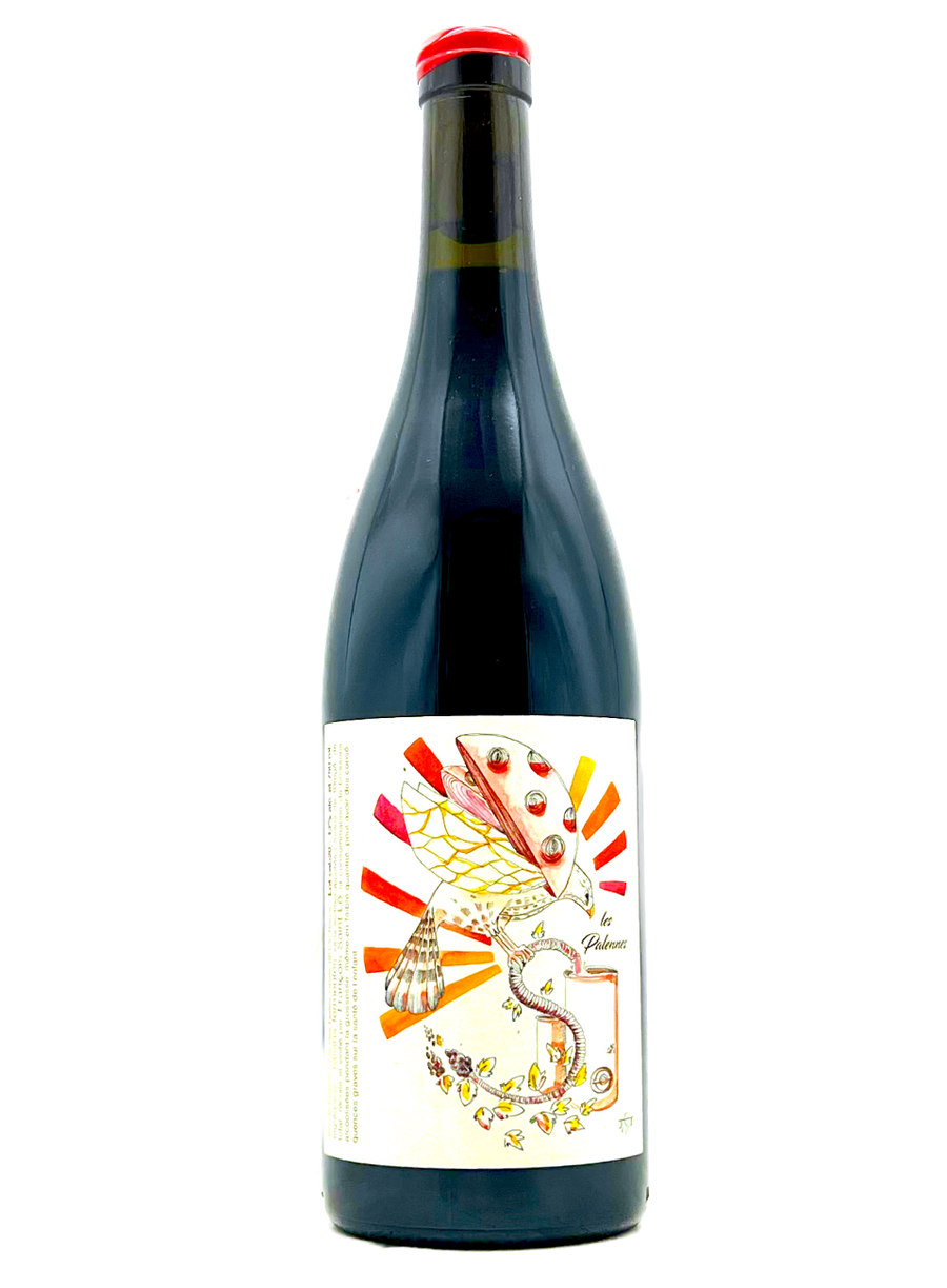 François Saint-Lô | Cult Loire Winemaker – MORE Natural Wine