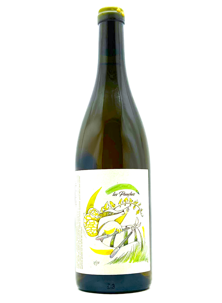 François Saint-Lô | Cult Loire Winemaker – MORE Natural Wine