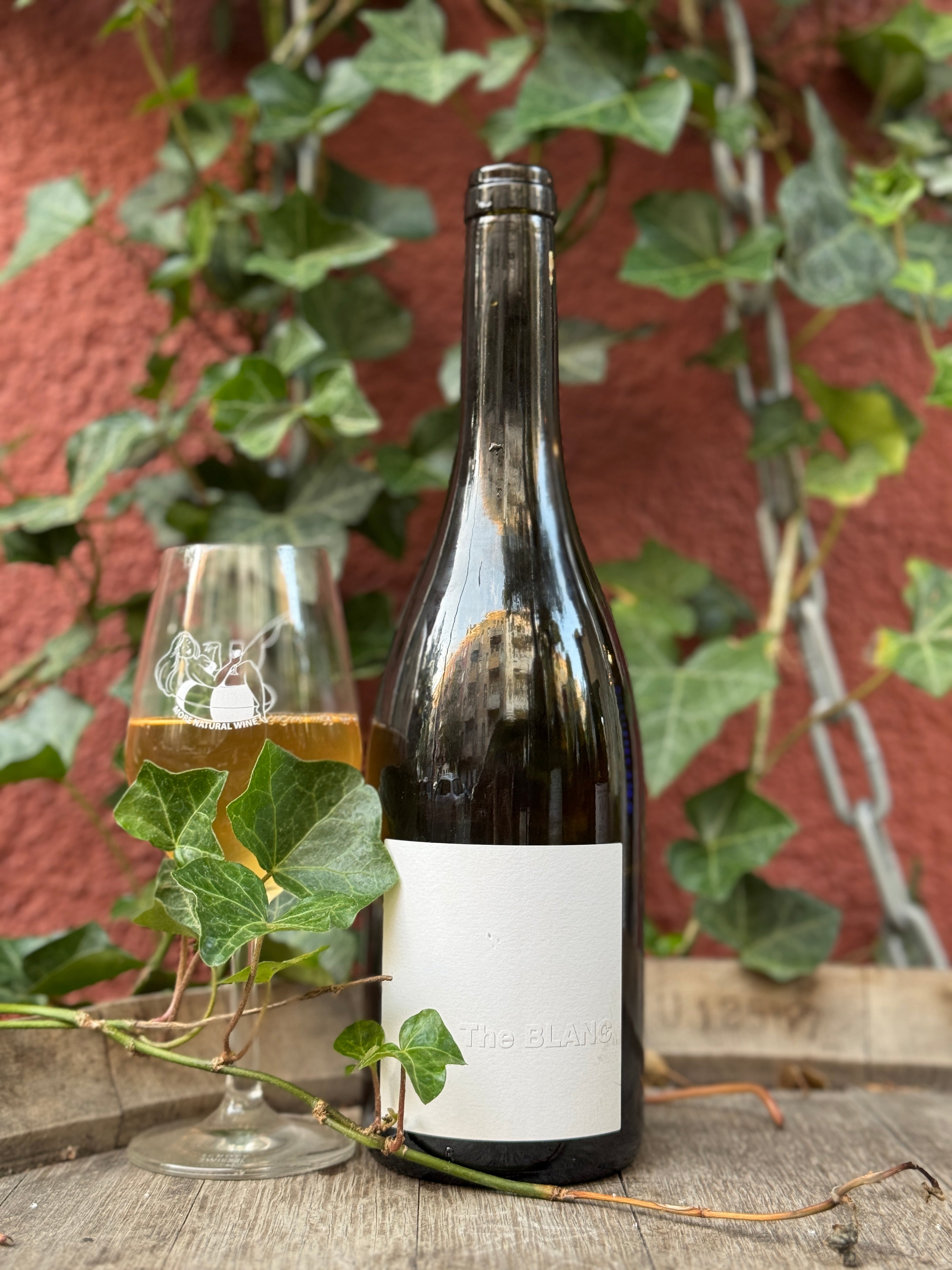 Patrick Bouju | The Blanc 2022-23 | MORE Natural Wine