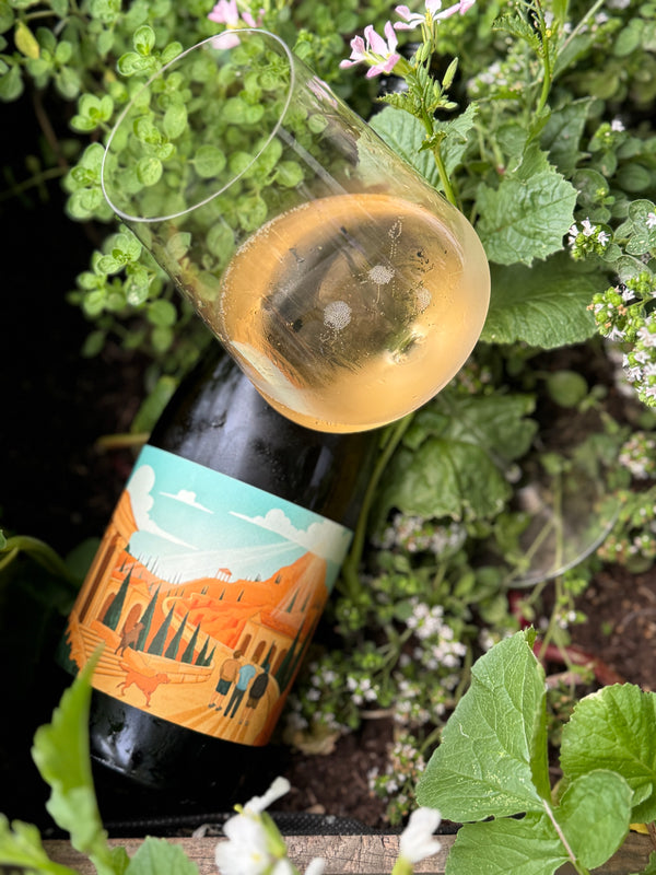 ロマン・エナン シャンパーニュ - ロデッセ ペティヤント 『シャピトル 1』