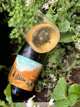 ロマン・エナン シャンパーニュ - ロデッセ ペティヤント 『シャピトル 1』