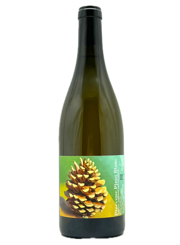 Pinecone Pinot Blanc | Natural Wine by Grandbois Wines.