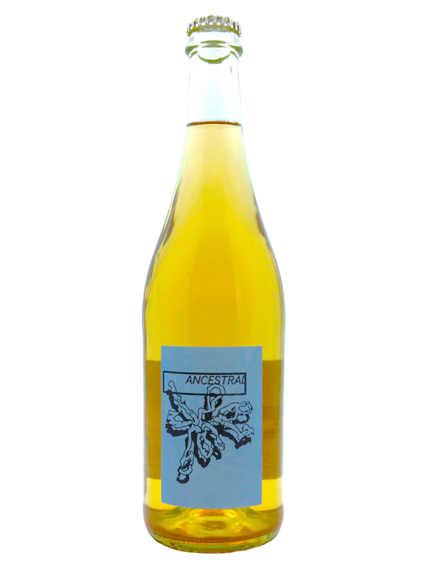 Ancestral 2022 | Natural Wine by Hannes Bergdoll.