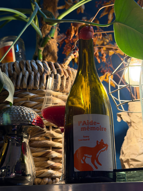 Tony Bornard | L'Aide Mémoire 2020 | MORE Natural Wine
