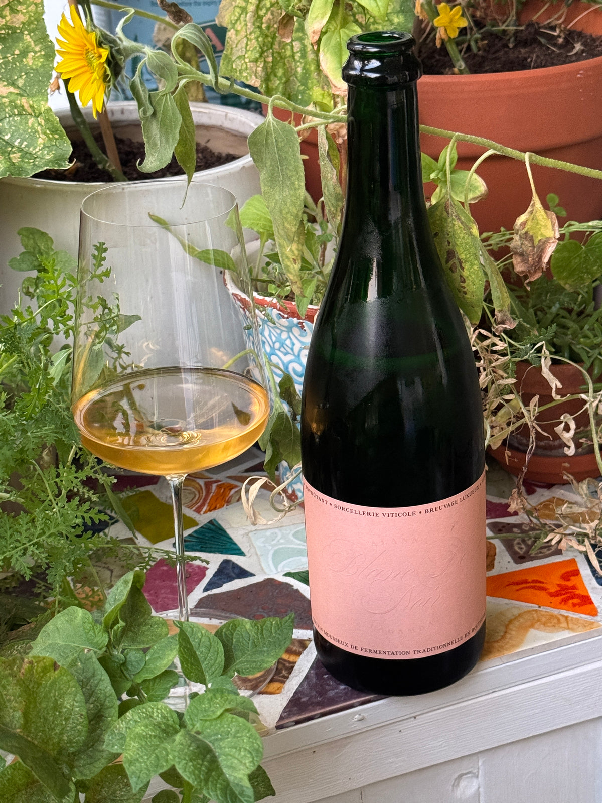シュペートブルグンダー MORE Natural Wine