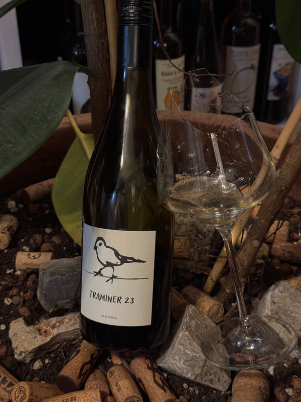 Jules & Didier Grappe - Traminer 2023