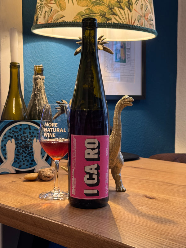 ICARO - サイババ