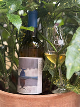 This Palomino is a brilliant value, natural wine crafted by El Pinto