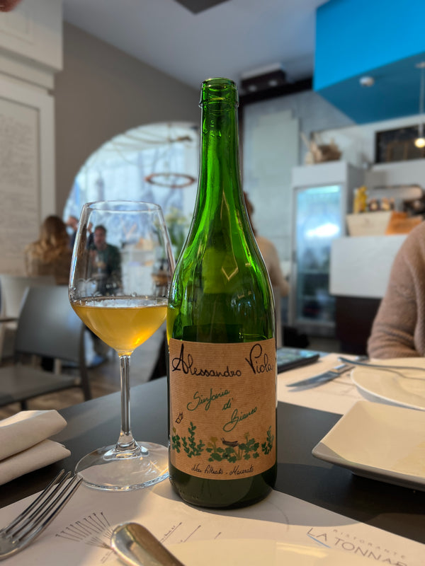 alessandro Viola - Sinfonia di Bianco
