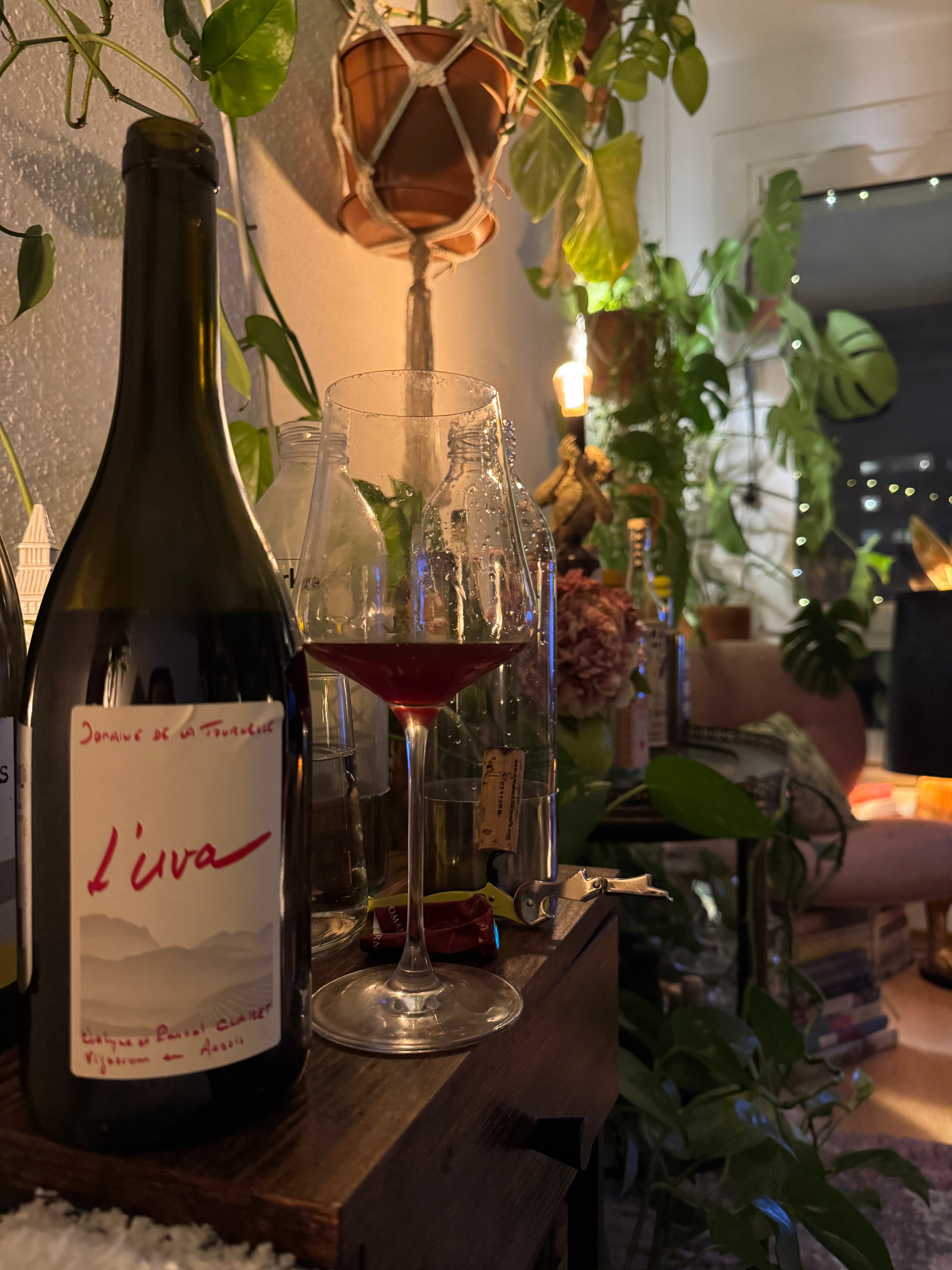 Domaine de la Tournelle | UVA 2022 | MORE Natural Wine