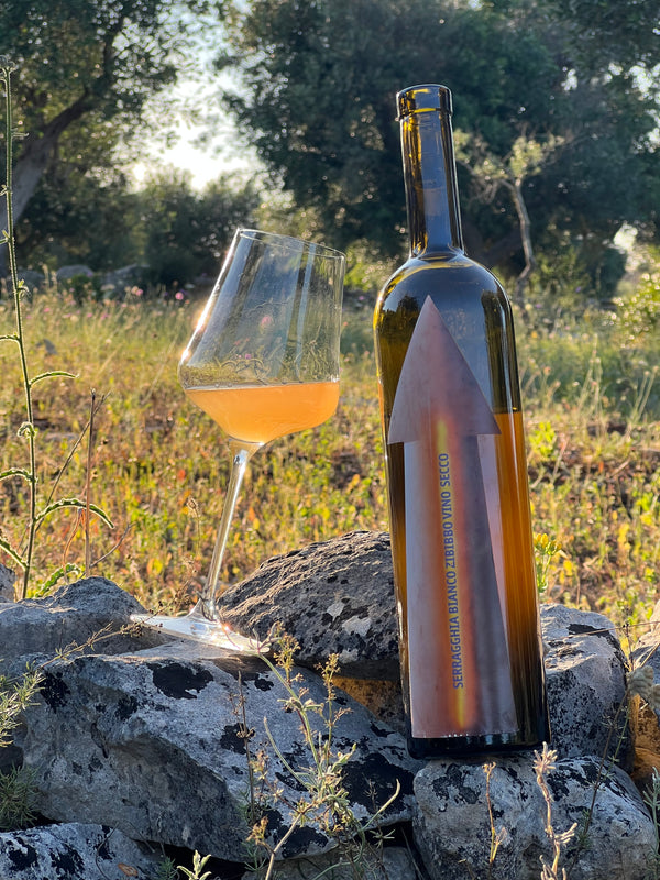 Gabrio Bini - Serragghia Bianco