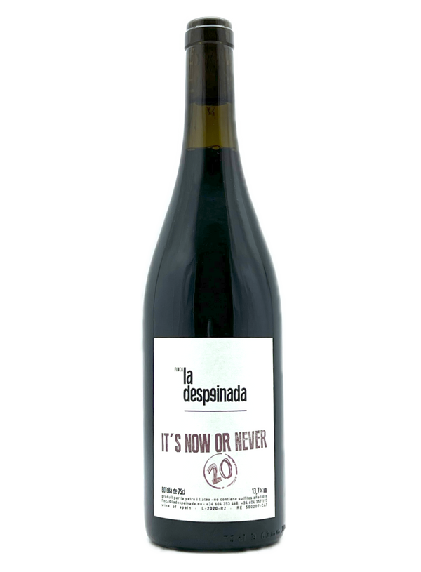 It's Now Or Never 2019 | Natural Wine by La Despeinada.
