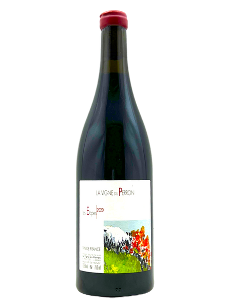 La Vigne du Perron | Etapes | MORE Natural Wine