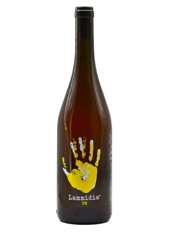 3B Lammidia