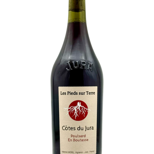 ワイン Porco Salvatore Marino 'Turi Rosso' 2023 – Folkways