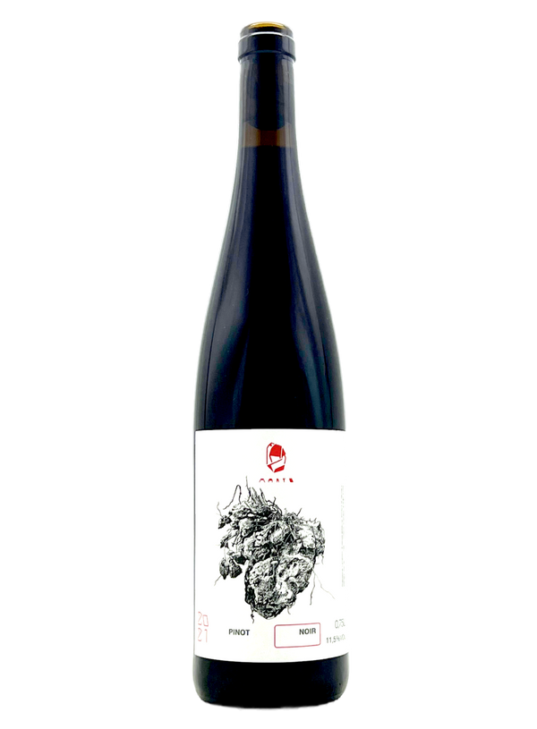 Pinot Noir 2021 | Natural Wine by Marto Wines.