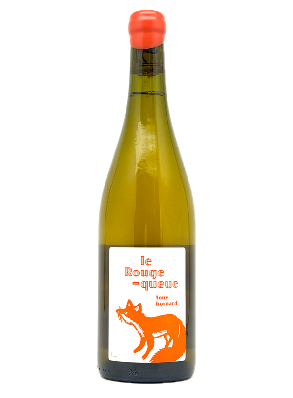 Domaine Bornard | Tony Bornard wines from Pupillin, Jura – MORE