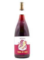 Morasinsi - Piana dei Sassi 2023