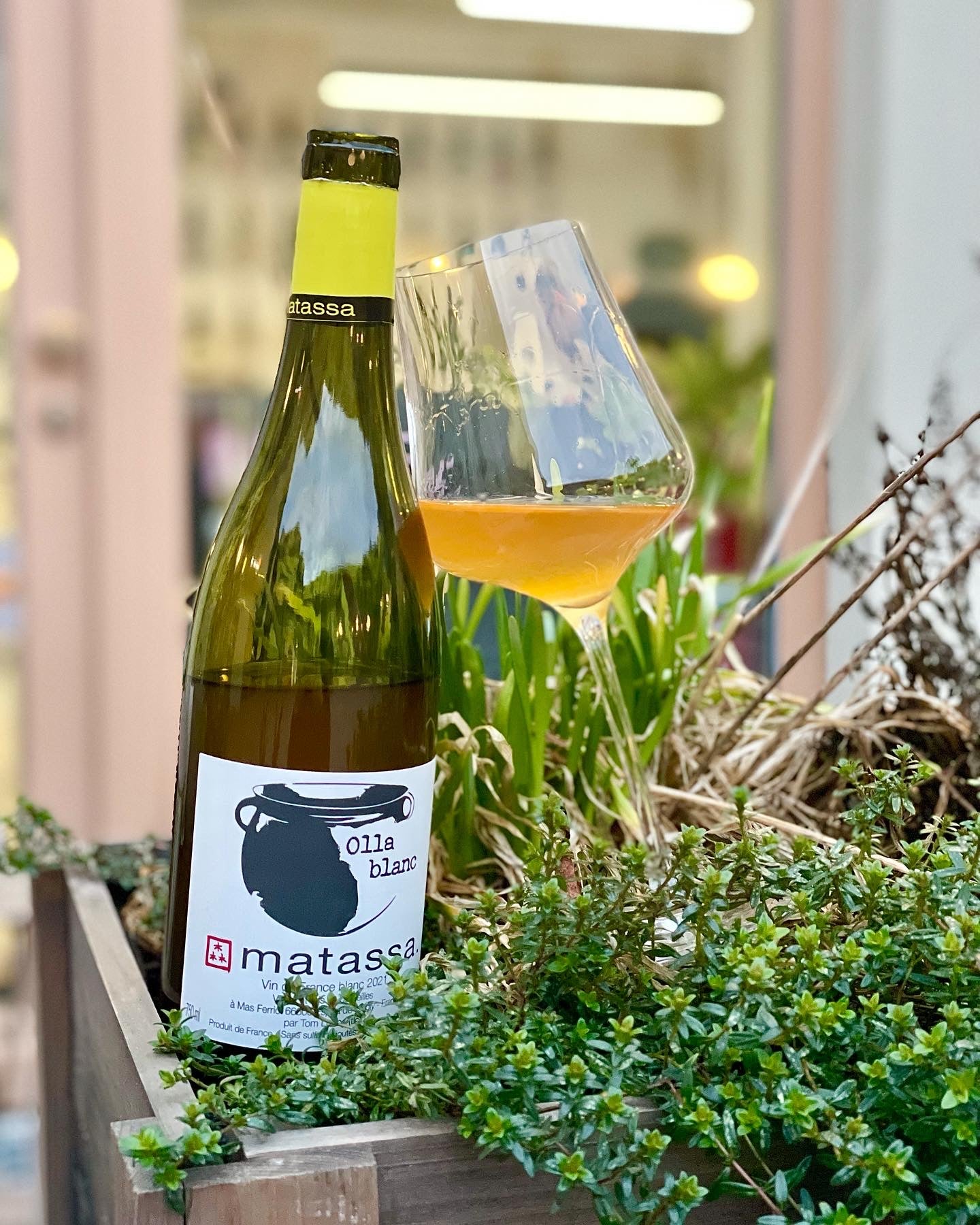 Matassa | Olla Blanc | MORE Natural Wine